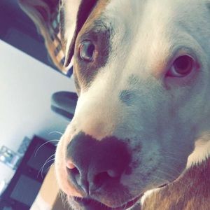 Meet your Posher, Victoria